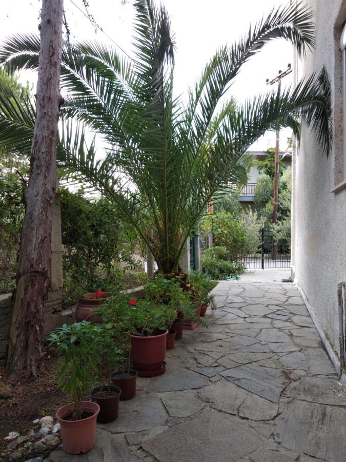 Velikis Apartments Toroni Extérieur photo